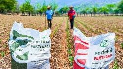 Gobierno amplía hasta el 15 de diciembre incorporación de agricultores en padrón para recibir fertilizantes